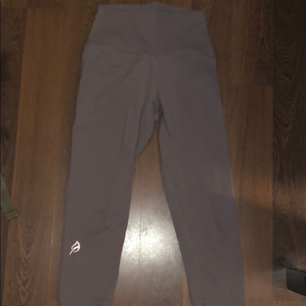 ptula sharkskin allainah II